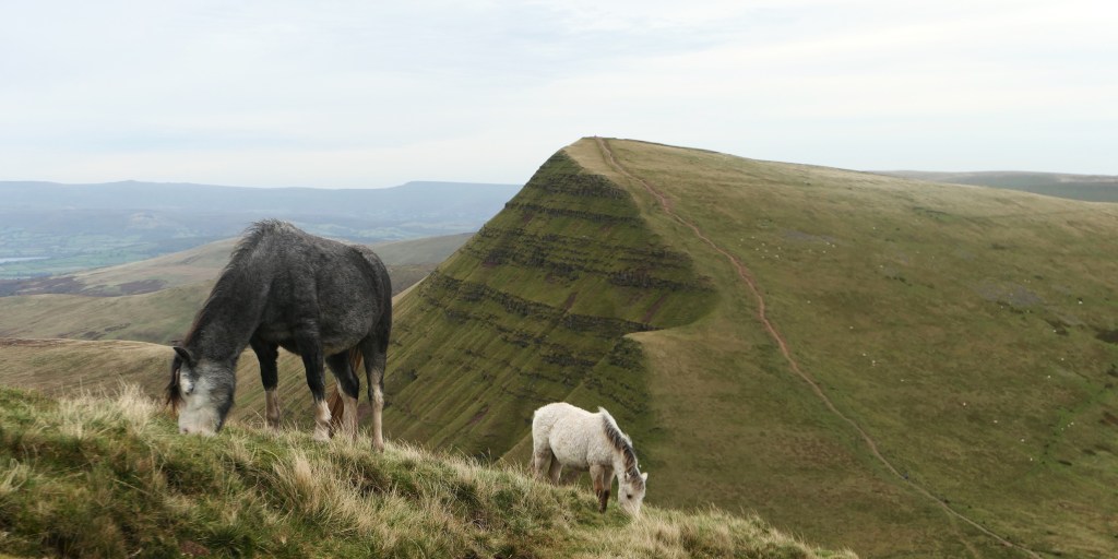 Thoughts From The Hills – A Brecon Beacons Wild Camp