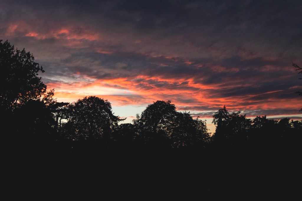 A vibrant sunset with pink and orange hues illuminating the sky, silhouetting dark tree outlines against the dramatic cloud formation.